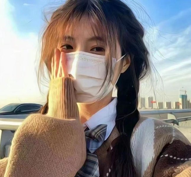 黑之契约者2:流星的双子